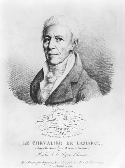 صورة لجان بابتيست دي مونيه (1744-1829) شوفالييه دي لامارك ، من "مجموعة صور لأكاديميين مشهورين" ، أوائل القرن التاسع عشر بواسطة لويس ليوبولد بويلي