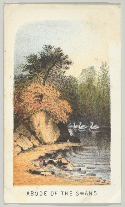 دار البجع ، من السلسلة ، مناظر في سنترال بارك ، نيويورك ، الجزء الثاني ، 1864. بواسطة لويس برانغ