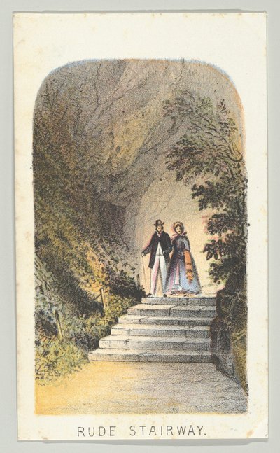 Rude Stairway ، من السلسلة ، آراء في سنترال بارك ، نيويورك ، الجزء الثاني ، 1864. بواسطة لويس برانغ