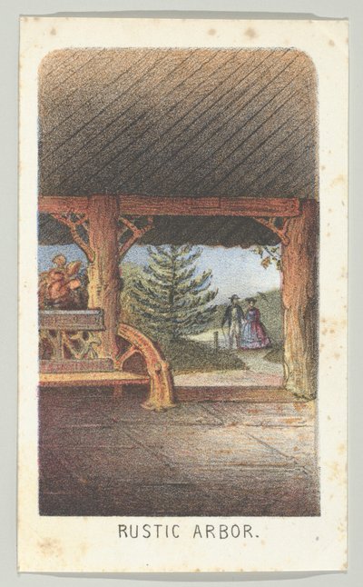 Rustic Arbor ، من السلسلة ، Views in Central Park ، نيويورك ، الجزء 3 ، 1864. بواسطة لويس برانغ