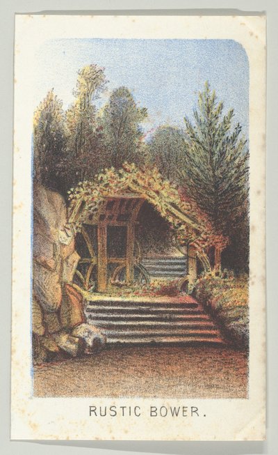 Rustic Bower ، من السلسلة ، آراء في سنترال بارك ، نيويورك ، الجزء 3 ، 1864. بواسطة لويس برانغ