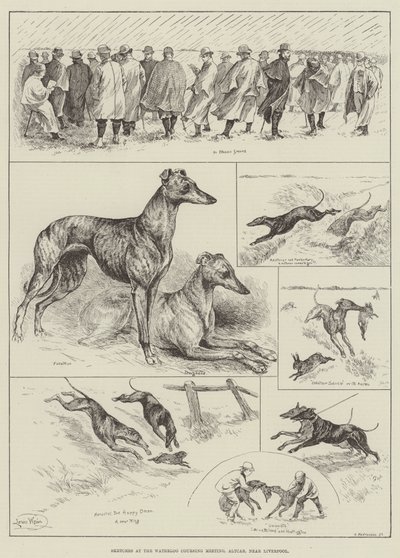 اسكتشات في اجتماع Waterloo Coursing ، Altcar ، بالقرب من ليفربول (نقش) بواسطة لويس وين