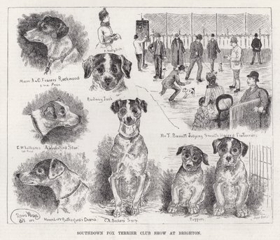 عرض Southdown Fox Terrier Club في برايتون (نقش) بواسطة لويس وين