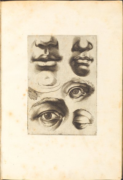 طباعة من كتاب الرسم بواسطة لوكا سيامبرلانو