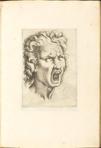 طباعة من كتاب الرسم بواسطة Luca Ciamberlano