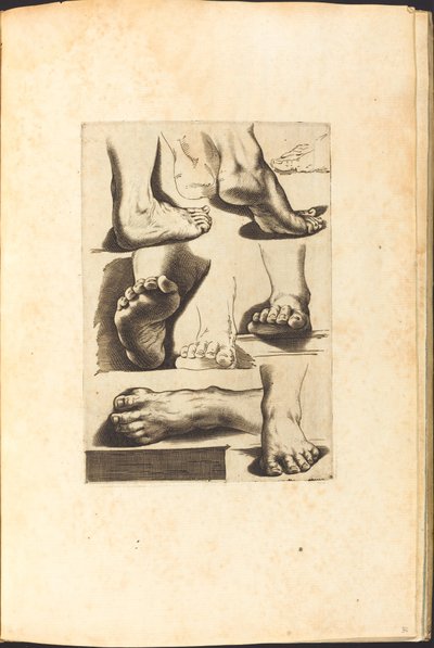 طباعة من كتاب الرسم بواسطة Luca Ciamberlano