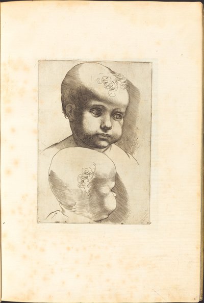 طباعة من كتاب الرسم بواسطة لوكا سيامبرلانو