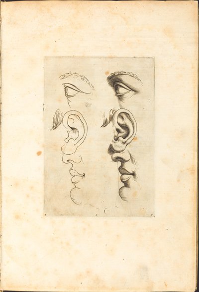 طباعة من كتاب الرسم بواسطة لوكا سيامبرلانو