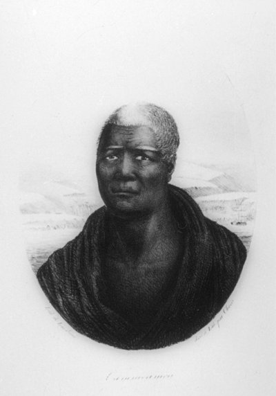 كاميهاميها الأولى ، هاواي ، 1816 بواسطة لودفيج شوريس