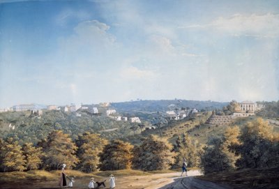 Capodimonte hill and villas along Ponti Rossi road (gouache) بواسطة لويجي فيرجولا