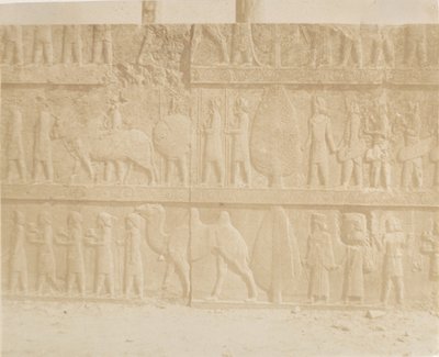 موكب على واجهة Grand Staircase ، 1858. بواسطة لويجي بيسشي