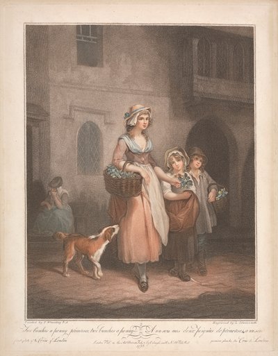 بائع زهرة الربيع ، مجموعتان من بيني بريمروس ، واثنان من باقات زهرة الربيع ... بواسطة لويجي شيافونيتي