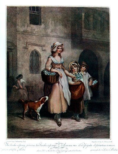اثنين من عناقيد بيني ، باقتان بيني ، 1793 ، 1910 بواسطة لويجي شيافونيتي