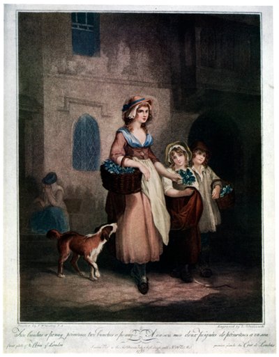 اثنين من عناقيد بيني ، بريموسز ، بينشينز بيني ، 1793 ، 1929 بواسطة لويجي شيافونيتي