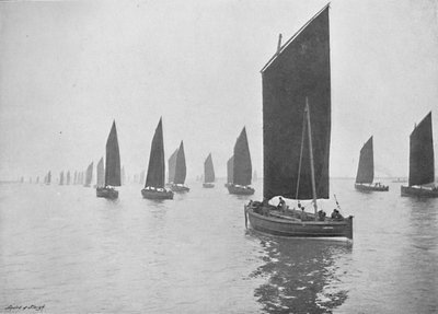 قوارب الرنجة قبالة تاين ، c1896 بواسطة م عمتي