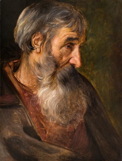 رأس رجل عجوز ملتح. بواسطة Maerten Vos de