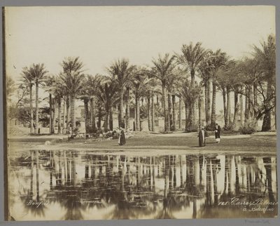 رجال مع ماعز تحت أشجار النخيل بجانب المياه في بدريشن Caire، Palmie [(...)] à Bedrecken (العنوان على الكائن) بواسطة ميزون بونفيس