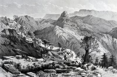 في المسيرة بالقرب من دونجولو ، نقشها جيمس فيرغسون ، 1868 بواسطة الرائد AGF Hogg