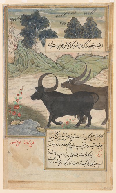 ثوران أزرقان وغزالان أزرقان، من بابورناما، حوالي عام 1589 (ألوان مائية وحبر وذهب على ورق) بواسطة منصور (fl.c.1590 1630)