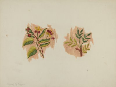 جزء ثوب نسائي من الحرير ، c. 1939. بواسطة مانويل جي رونيان