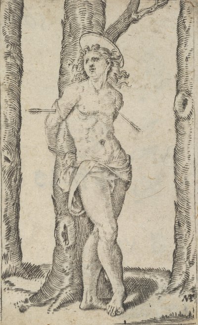 ربط القديس سيباستيان بشجرة مثقوبة بالسهام ، من سلسلة 'Piccoli Santi' ... ، كاليفورنيا. 1500-1527. بواسطة ماركانتونيو رايموندي