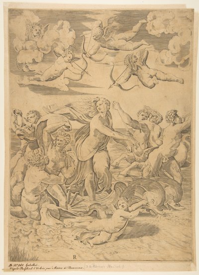 Galatea يركب في قذيفة تسحبها المياه من خلال الدلافين ، كيوبيد أدناه و ... ، كاليفورنيا. 1515-27. بواسطة ماركو دينتي