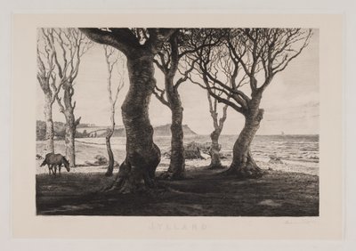 المناظر الطبيعية في جوتلاند بواسطة ماركوس بيش فريتز