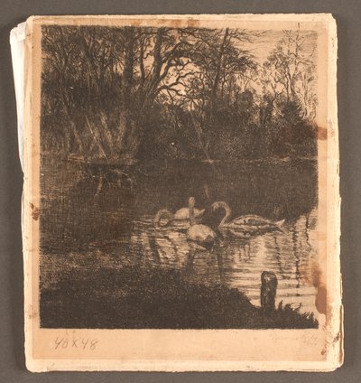 عزر مع البجع. حديقة فريدريكسبيرج بواسطة ماركوس بيش فريتز