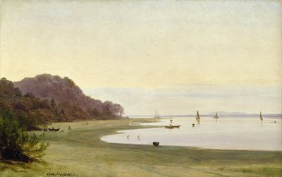 شاطئ إلبه (زيت على ورق مركب على متن) بواسطة Marcus Johann Haeselich
