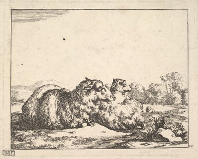 غنم من مجموعة من 16 لوحة ، 1664. بواسطة ماركوس دي باي
