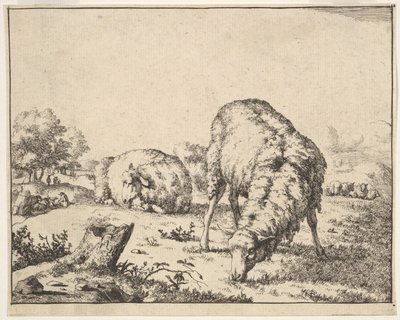 غنم من مجموعة من 16 لوحة ، 1664. بواسطة ماركوس دي باي