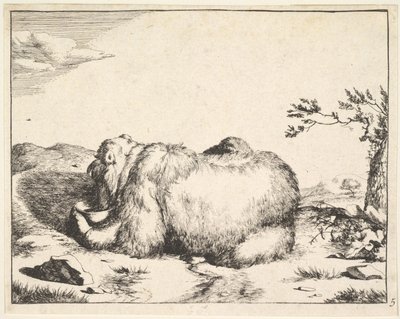 من مجموعة الدببة ، كاليفورنيا. 1664. بواسطة ماركوس دي باي