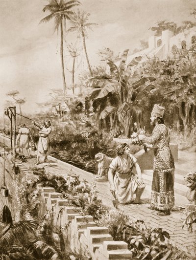 بواسطة مارجريت دوفاستون