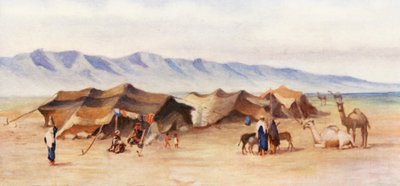  بواسطة مارجريت توماس