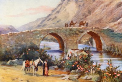  بواسطة مارجريت توماس