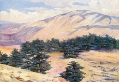  بواسطة مارجريت توماس