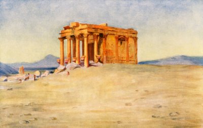  بواسطة مارجريت توماس
