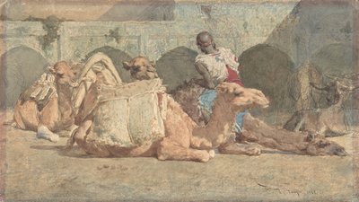 إعادة الإبل ، طنجة ، كاليفورنيا. 1854-1874. بواسطة ماريانو خوسيه ماريا برناردو فورتوني إي كاربو