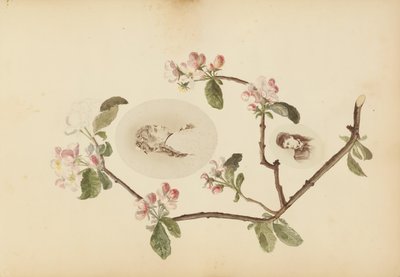 ألبوم مدام ب ، 1870. بواسطة ماري بلانش هينيل فورنييه