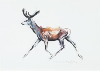 الجري Stag في المخمل ، Polsen ، 2006 (فحم وكونت على الورق) بواسطة مارك ادلينجتون
