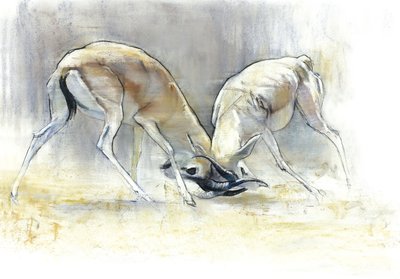 غزال الرمال ، 2009 (كونت وفحم على ورق) بواسطة مارك ادلينجتون