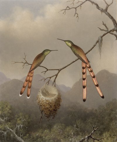 اثنين من طيور الطنان مع صغارهما ، ج .1865 بواسطة Martin Johnson Heade