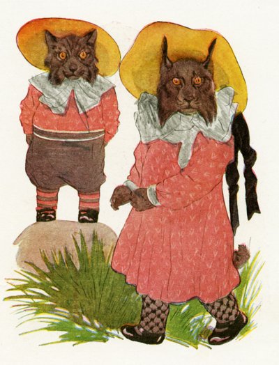 Bobcat و Canadian Lynx ، 1913 بواسطة مارتن روس