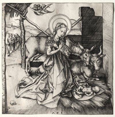 حياة المسيح: الميلاد ، ج. 1480-1490. بواسطة مارتن شونجاور