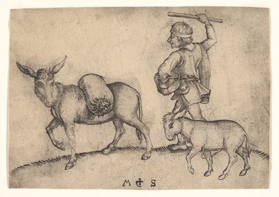 ميلر ، كاليفورنيا. 1435-1491. بواسطة مارتن شونجاور