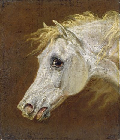رأس حصان عربي رمادي (زيت على قماش على لوحة) بواسطة Martin Theodore Ward