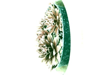 العصارة بواسطة مارتينا كونيتزكي
