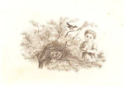 الحسابات 1846-1848 بواسطة مارتينوس روربي