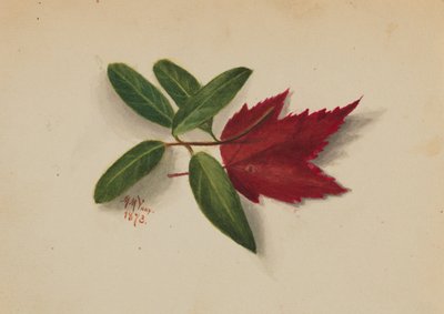 بدون عنوان ، 1873. بواسطة ماري فو والكوت