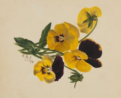 الزنابق بلا عنوان ، 1876. بواسطة ماري فو والكوت